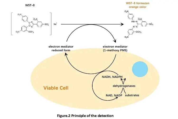 1691375248486797.jpg 1.jpg